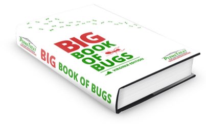 Big Book of Bugs – Pest Control in Virginia