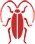 Roaches