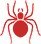Spiders
